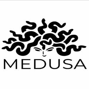 MEDUSA franchise